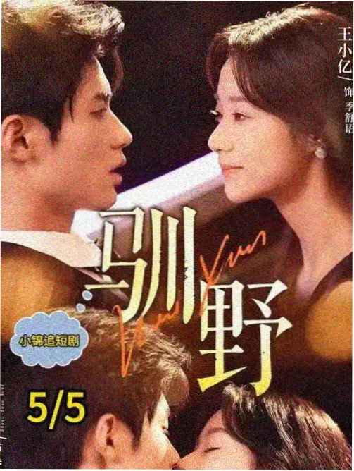韩剧资料唱片内页封面预览图